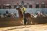 Palio Straordinario: la fotogallery della seconda prova